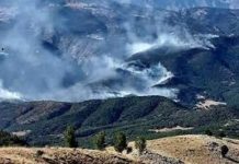 Görmezden Gelinen Bir Yangın; Dersim!
