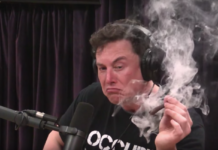 Vahşi Kapitalizmin Yeni Açgözlüsü Elon Musk: İşçiler 80 saat çalışsın Vahşi Kapitalizmin Yeni Açgözlüsü