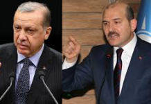 Erdoğan ve Soylu Hakkında Suç Duyurusu