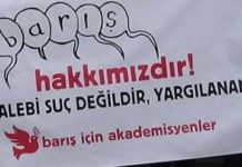 Anayasa Mahkemesi’nden Barış Akademisyenleri İçin Emsal Karar: İfade Özgürlükleri İhlal Edildi
