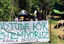 ODTÜ’deki Direniş Sonuç Verdi: KYK Şantiyesi İçin Yıkım Kararı Verildi