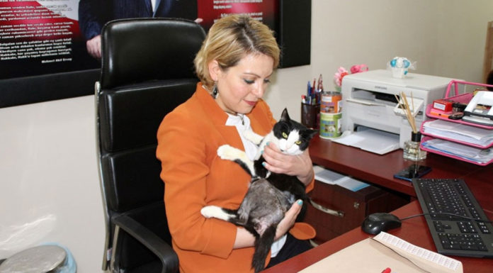 Makam Odasını Hayvanlara Açtığı İçin Başına Gelmeyen Kalmadı: Sürüldü, Maaşı Kesildi