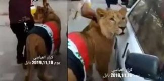 Irak’ta polis, müdahale için köpekleri kullanınca göstericiler aslan getirdi!
