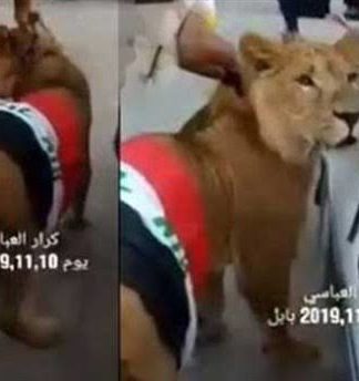 Irak’ta polis, müdahale için köpekleri kullanınca göstericiler aslan getirdi!