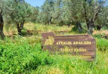 Rant Sırası Şimdi Ayvalık’ta: Ayvalık Tabiat Parkı İçin İhale Açılıyor