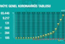 Robert Koch Vakfı: Türkiye’de 3 Nisan’da vaka sayısı 55 bin olacak