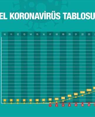 Robert Koch Vakfı: Türkiye’de 3 Nisan’da vaka sayısı 55 bin olacak