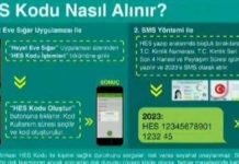 Türkiye’de seyehat engeli kaldırılıyor, peki HES kodu nasıl alınacak?