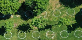 İBB’den parklarda sosyal mesafe çemberi