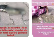 Artık yeter: Üç yıl önce de hayvanları katleden ve para cezasıyla serbest bırakılan cani, yeni görüntüler yayınladı!