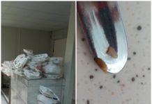 AKM inşaatında çalışan işçilerin yemeğinden kurt çıktı