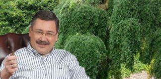 Gökçek’in çiçek sevgisi: 418 milyon dolar harcamış!