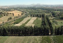 AOÇ’nin 250 bin metrekarelik arazisi daha talana açıldı