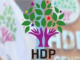 ‘HDP’li vekil eşini darp etti’ iddiası