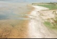 Kuş cenneti Marmara Gölü barajlar yüzünden kurumak üzere