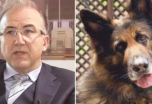 ABD’li şirket, Nero’yu öldüren hayvan katili Alp Erkin’in firması ile ilişkisini kesti