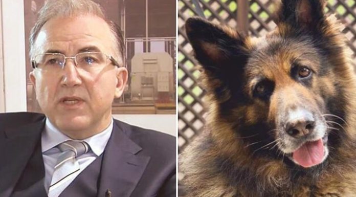 ABD’li şirket, Nero’yu öldüren hayvan katili Alp Erkin’in firması ile ilişkisini kesti