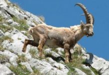 Dersim’den sonra şimdi sıra Erzincan’da