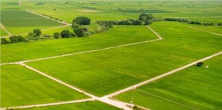 AKP’nin 18 yıllık iktidarında 3.5 milyon hektar tarım arazisi kaybedildi