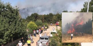 Bursa’da korkutan yangın sonrası 1 tutuklama