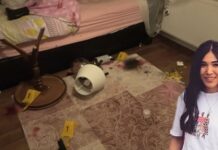 Nadira’ya ne Oldu? Nadira’nın odasına ait yeni görüntüler ortaya çıktı!