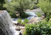 Talan edilmeye başlanan Munzur Gözeleri için TMMOB’dan çağrı