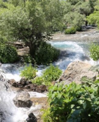 Talan edilmeye başlanan Munzur Gözeleri için TMMOB’dan çağrı