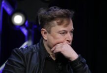 Bolivya’da faşist darbecileri destekleyen Elon Musk’a seçim şoku: Sosyalistler kazandı, Musk’ın hisseleri düştü!