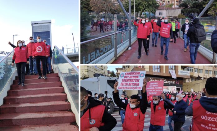 88539E87-B52D-472D-829B-A61E589C3670