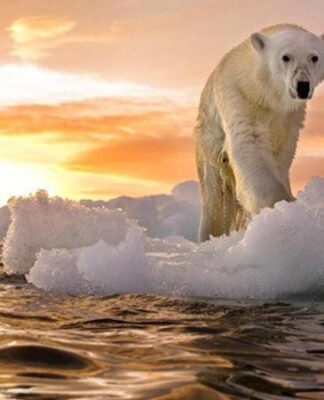 Doğa’dan tehlike sinyalleri: Geçtiğimiz ay “en sıcak Kasım ayı” olarak kaydedildi