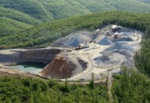 Taş ocağı için Istranca Ormanları yok edilecek: 144 bin 871 ağaç kesilecek!