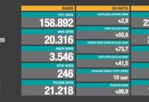 Türkiye’nin 24 saatlik koronavirüs bilançosu: 246 kişi yaşamını yitirdi