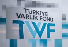 Erdoğan’ın başkanlığını yaptığı Varlık Fonu salgın bahanesiyle denetlenmedi