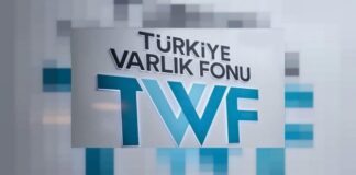 Erdoğan’ın başkanlığını yaptığı Varlık Fonu salgın bahanesiyle denetlenmedi