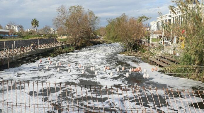 Düden çayında balıkların ölmesine sebep olan işletmelerin atıklarıymış!
