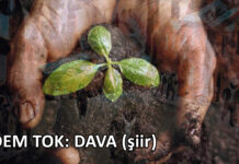 Dava – Şiir