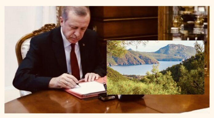 Yeni yönetmeliğe göre, Erdoğan istediği alanı orman olmaktan çıkarabilecek!