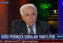 Perinçek MHP’yi anti-Amerikancı yaptı, ‘Denizler, Mahirler emrimdeydi’ dedi!