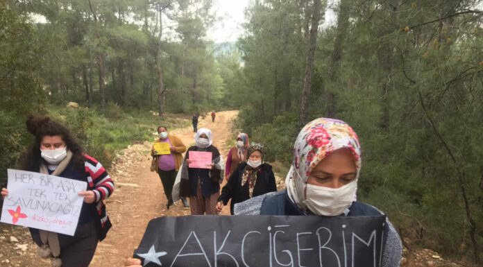 İkizköylü kadınlar ormanları için direniyor