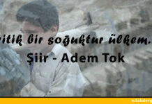 Yitik Bir Soğuktur Ülkem – Adem Tok