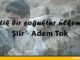 Yitik Bir Soğuktur Ülkem – Adem Tok