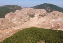 Kaz Dağları’nda yüzbinlerce ağacı kesen Alamos Gold‘dan Türkiye’ye milyar dolarlık dava!