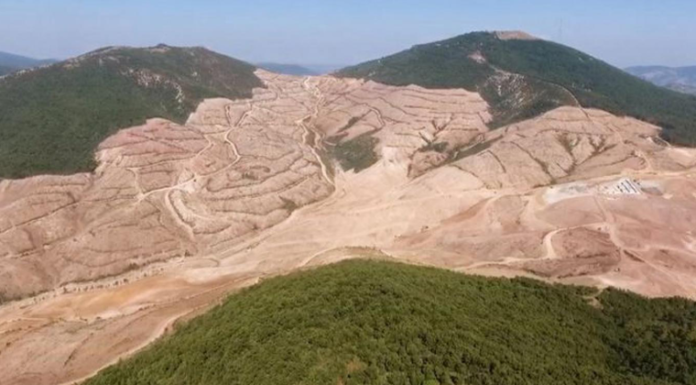 Kaz Dağları’nda yüzbinlerce ağacı kesen Alamos Gold‘dan Türkiye’ye milyar dolarlık dava!