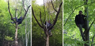 İkizdere’de direnişin 8.günü: Yöre halkı ağaçlara çıkarak yıkımı durdurmaya çalışıyor