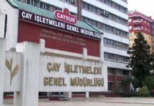 Varlık Fonu’na devredildikten sonra zarar etmeye başlayan ÇAYKUR’un borcu 4 milyarı aştı