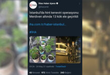 AKP’lilerin uyuşturucu trafiğini görmezden gelen yandaş medya, yoğurt kabındaki 3-5 dal keneviri “dev operasyon” diye anlatıyor!