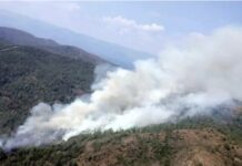 Marmaris’teki orman yangınında bir emekçi yaşamını yitirdi