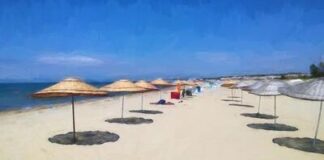AKP, Akdeniz ve Ege’den sonra Trakya sahillerine de göz dikti!