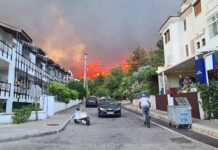 Manavgat’tan sonra Marmaris’te ormanlık alanda yangın çıktı