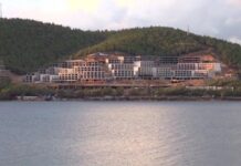 Yangınlar sönmeden orman ve kıyılar yeni yağmaya açılıyor*